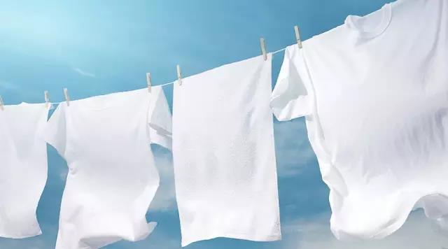 1551083879686664.jpg 微信圖片_20190225163314.jpg